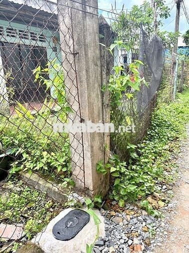 Bán đất tặng nhà/ thổ cư 100m2/ Sổ Hồng Riêng/ P.Tân An