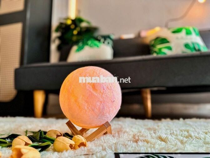 ✨✨✨DUPLEX 2 GIƯỜNG - BAN CÔNG - HẺM OTO QUAY ĐẦU✨✨✨