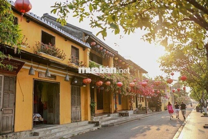Cho thuê nhà mặt tiền trong phố cổ Hội An, sát Chùa