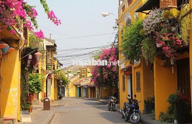 Cho thuê nhà mặt tiền trong phố cổ Hội An, sát Chùa
