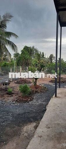 Bán đất vườn tặng nhà vườn dt 500m 25x20m giá 900tr tân thạnh thủthua