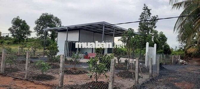 Bán đất vườn tặng nhà vườn dt 500m 25x20m giá 900tr tân thạnh thủthua