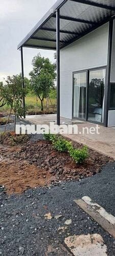 Bán đất vườn tặng nhà vườn dt 500m 25x20m giá 900tr tân thạnh thủthua