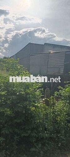 Bán đất gần ngã tư miếu ông cù Tân Uyên Bình Dương 340m² giá 2,5 tỷ
