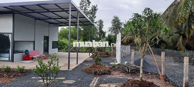 Bán đất vườn tặng nhà vườn dt 500m 25x20m giá 900tr tân thạnh thủthua