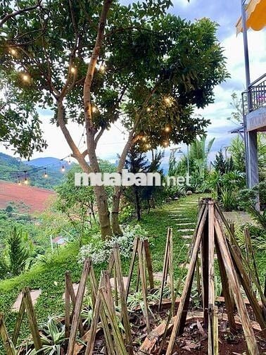 BÁN NHÀ SÂN VƯỜN NGHỈ DƯỠNG – VIEW TOÀN CẢNH XÃ BAN, LÂM HÀ, LÂM ĐỒNG