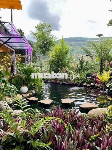 BÁN NHÀ SÂN VƯỜN NGHỈ DƯỠNG – VIEW TOÀN CẢNH XÃ BAN, LÂM HÀ, LÂM ĐỒNG