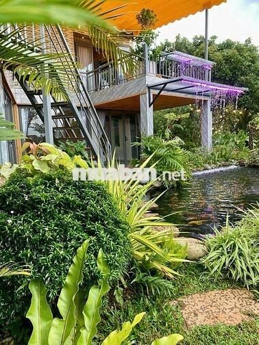 BÁN NHÀ SÂN VƯỜN NGHỈ DƯỠNG – VIEW TOÀN CẢNH XÃ BAN, LÂM HÀ, LÂM ĐỒNG