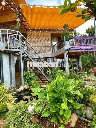 BÁN NHÀ SÂN VƯỜN NGHỈ DƯỠNG – VIEW TOÀN CẢNH XÃ BAN, LÂM HÀ, LÂM ĐỒNG