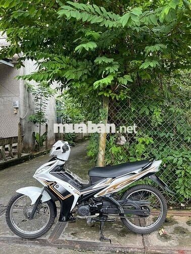 ex 50cc