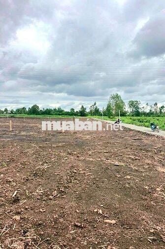 Hàng thơm, 1000m2 đất vườn View Kênh cực đẹp, 720tr