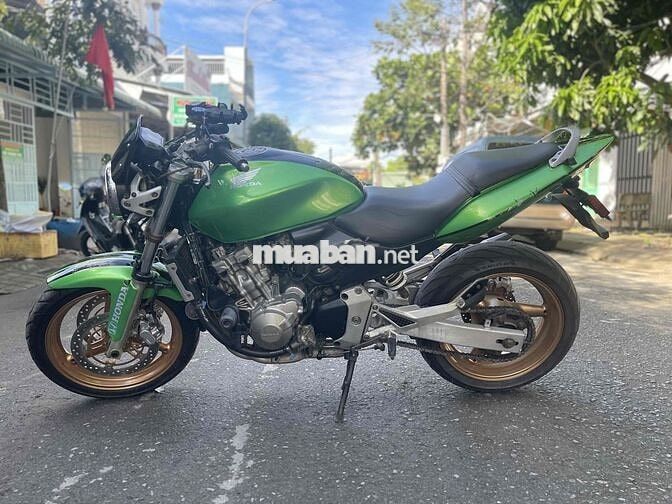 hornet 600