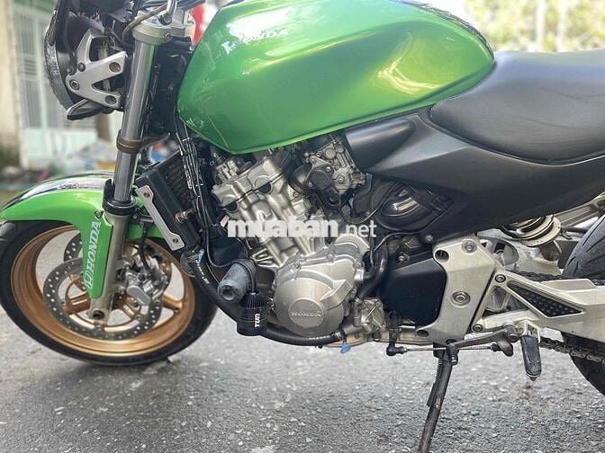 hornet 600