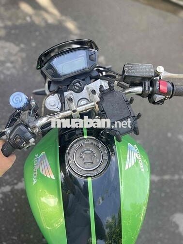 hornet 600