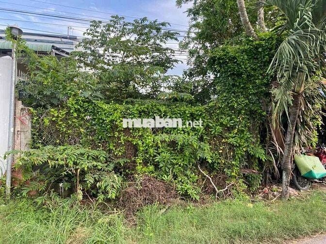 MẶT TIỀN THỔ CƯ – SỔ RIÊNG – 1,2 TỶ! PHÁP LÝ RÕ RÀNG