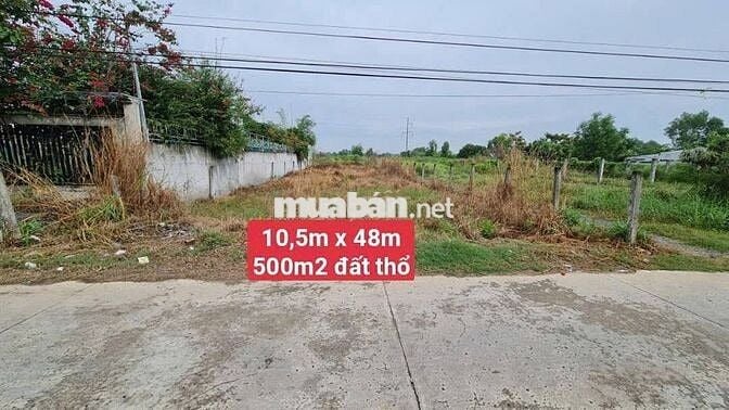 Bán 2 nền MT đường Nguyễn Thị Bài, Cần Giuộc. 500m2/ 1ty125, gần QL50
