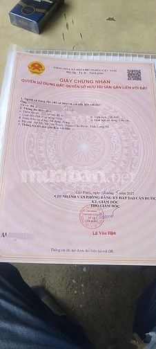 Nhà 1trệt, 1lầu, ST, Ấp 1, Tân Trạch, Cần Đước, LA, 330,4m2 thổ cư 