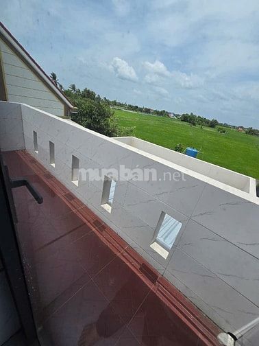 Nhà 1trệt, 1lầu, ST, Ấp 1, Tân Trạch, Cần Đước, LA, 330,4m2 thổ cư 