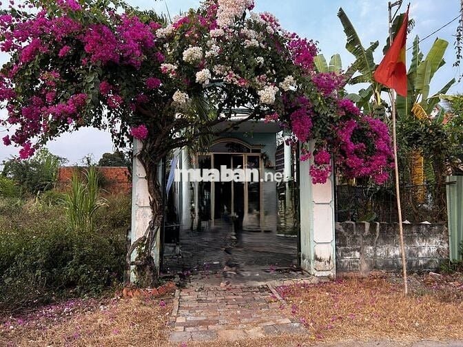 Mình cần bán nhà ở kiên cố tại huyện Củ Chi cũ