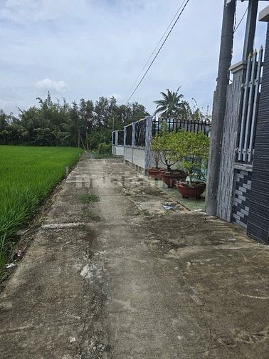 Nhà 1trệt, 1lầu, ST, Ấp 1, Tân Trạch, Cần Đước, LA, 330,4m2 thổ cư 