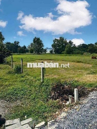 🌟 BÁN ĐẤT ĐƯỜNG LÊ THỊ VUI – PHƯỚC HIỆP, CỦ CHI – GIÁ TỐT 🌟 GIÁ 550tr