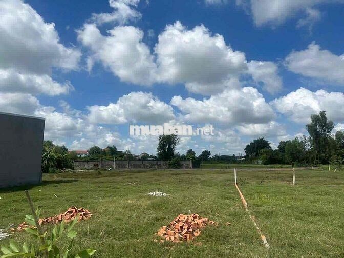 🌟 BÁN ĐẤT ĐƯỜNG LÊ THỊ VUI – PHƯỚC HIỆP, CỦ CHI – GIÁ TỐT 🌟 GIÁ 550tr