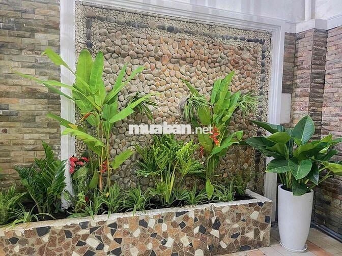 Căn hộ 2PN/1PN/Studio gần Công viên Hoàng Văn Thụ, Chợ Tân Bình 70m2