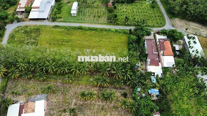 Đất chính chủ 195m2 giá 680tr xã Gia Lộc Trảng Bàng đường nhựa gần TL2