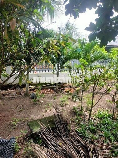 BÁN ĐẤT THỔ CƯ, MẶT TIỀN NHỰA, XUYÊN MỘC, BRVT