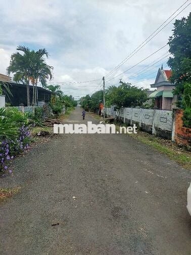 BÁN ĐẤT THỔ CƯ, MẶT TIỀN NHỰA, XUYÊN MỘC, BRVT