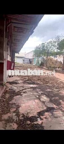 MTKD GÓC 2MT (2.500m²) QUANG TRUNG, GÒ VẤP cũ
