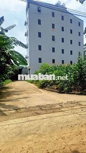 Lô góc 132m2 Tân Xã - nay là xã Hoà Lạc.- thủ phủ của phòng trọ H.Lạc.
