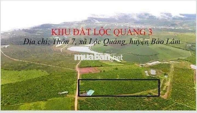 🌿 CHÍNH CHỦ GỬI BÁN 33 LÔ ĐẤT TẠI LỘC QUẢNG – BẢO LỘC, LÂM ĐỒNG 🌿