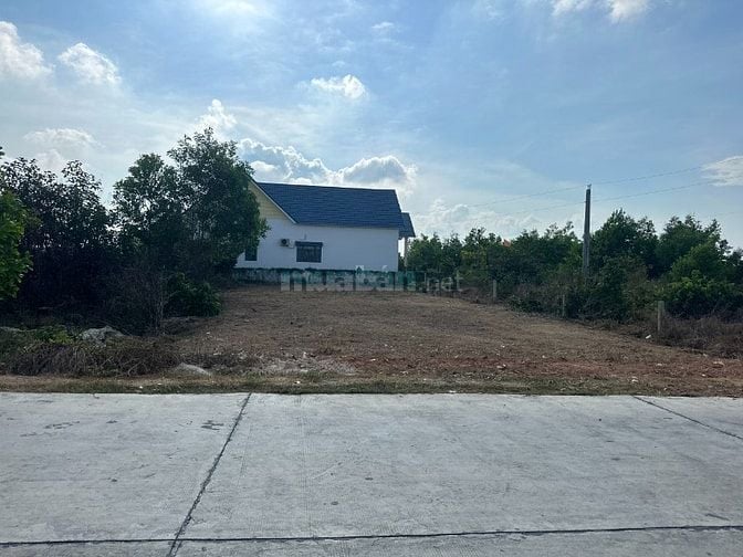 14x30(501m2) 100m2 TC Đinh Công Tráng Tân Tiến LaGi Giá Rẻ Hơn Thị Trư