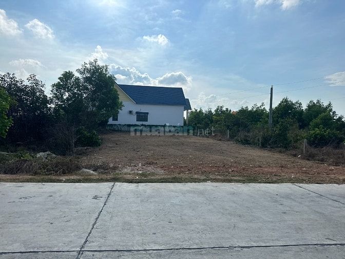 14x30(501m2) 100m2 TC Đinh Công Tráng Tân Tiến LaGi Giá Rẻ Hơn Thị Trư