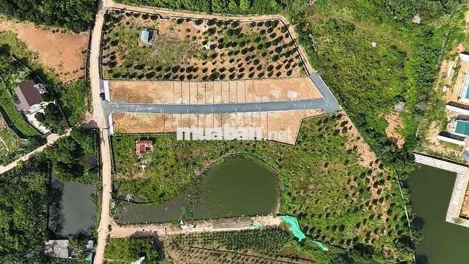 CC TRẢ NỢ NGÂN HÀNG CẮT LỖ 85,1M PHÚ MÃN 75,1M HOÀ LẠC 80M CỔ ĐÔNG