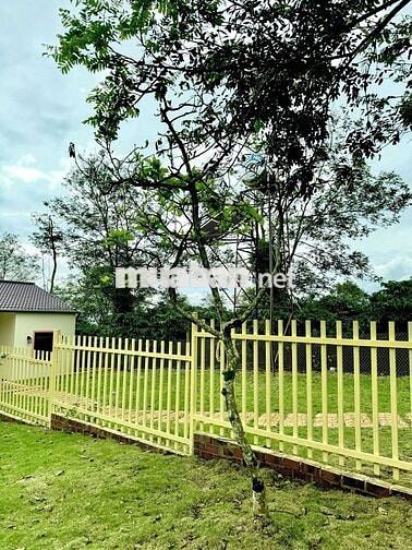 Chủ gửi bán lô đất nghĩ dưỡng tại Di Linh có nhà sẵn giá chỉ 550tr