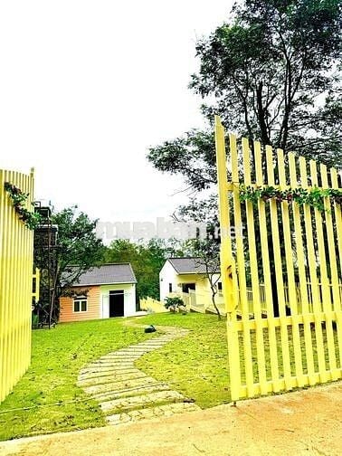 Chủ gửi bán lô đất nghĩ dưỡng tại Di Linh có nhà sẵn giá chỉ 550tr