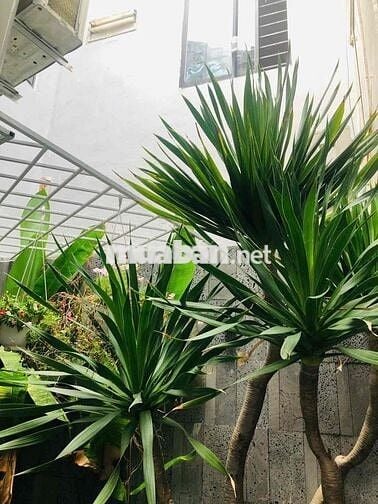 🏡 NHÀ 2 TẦNG HOÀNG DIỆU – 55M² – FULL NỘI THẤT CAO CẤP