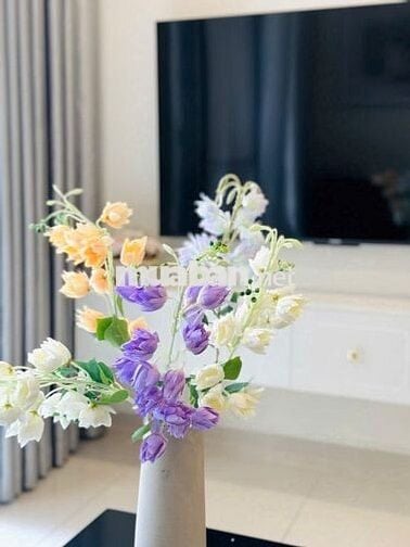 BÁN căn 2PN 1VS full nội thất,view cực đẹp giá chỉ còn 3.54 tỷ tại OCP