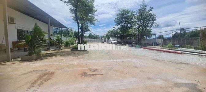 Cho thuê xưởng may đang hoạt động tại Thuận An Bình Dương