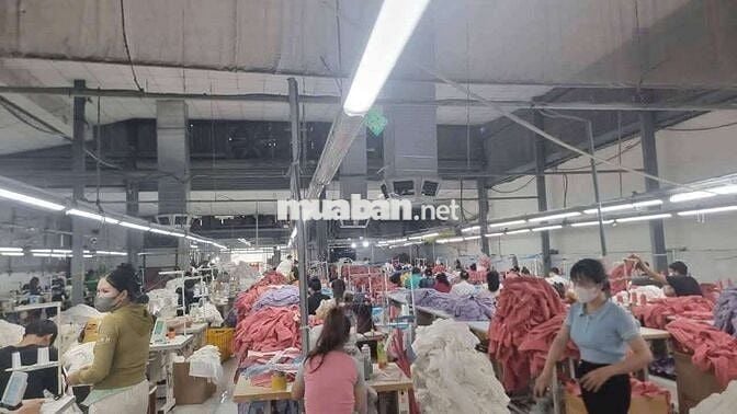 Cho thuê xưởng may đang hoạt động tại Thuận An Bình Dương