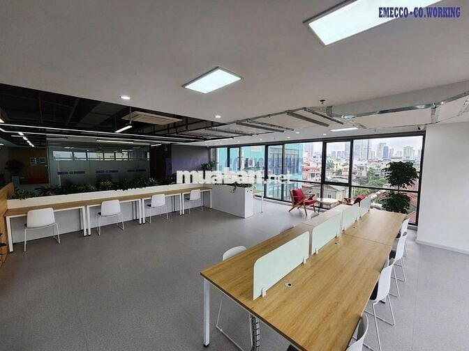 Cho Thuê Sàn Văn Phòng 250m2 Tòa SME Hoàng Gia  , Hà Đông