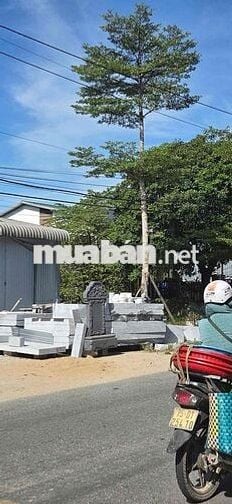 CC bán đất mặt tiền Tỉnh lộ 10A- TP Huế. Tặng kèm nhà cấp 4