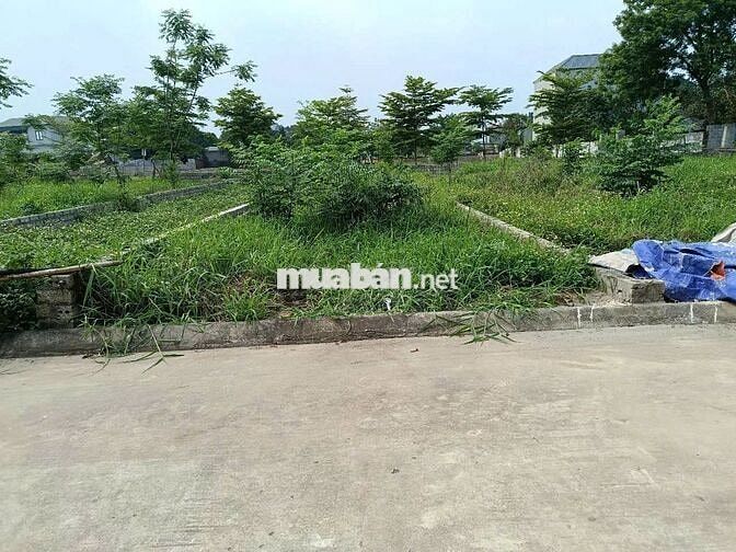 bán lô đất 105m2 fun thổ cư nằm trong lõi khu đô  thị vệ tinh hòa lac