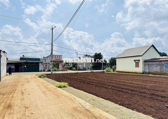 Đất đẹp ngay mặt tiền đường nhựa DH3, Tân Phú - Tân Hội - Lâm Đồng