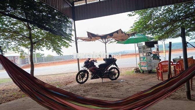 Sonic zjn kiểng 9c