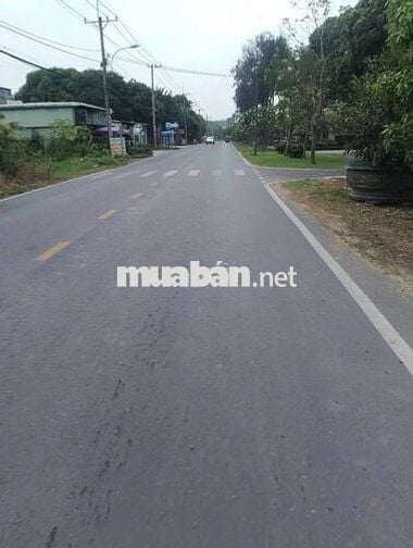 CẦN BÁN GẤP LÔ ĐẤT TÂN THÔNG HỘI CỦ CHI 343M2 GIÁ 580 TRIỆU, SỔ RIÊNG