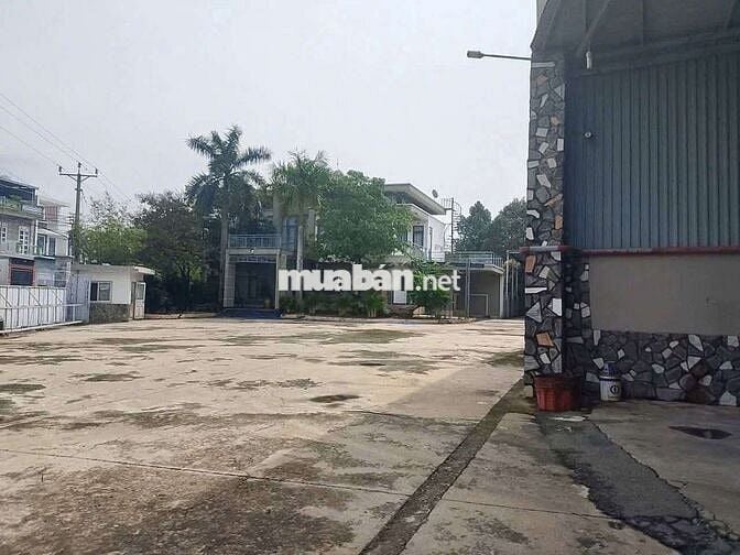 Cho thuê xưởng 4900m2 tại Tân Vĩnh Hiệp Tân Uyên Bình Dương
