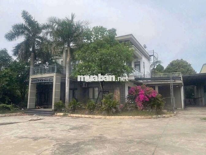 Cho thuê xưởng 4900m2 tại Tân Vĩnh Hiệp Tân Uyên Bình Dương